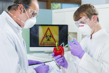 Gentechniker untersuchen Genfood Paprika im Labor