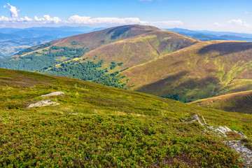 Obraz premium late summer mountain landscape