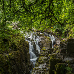 Naklejka na ściany i meble The Hermitage, Black Linn waterfalls in Perthshire Scotland