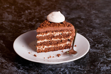 Delicious chocolate cake in white plate