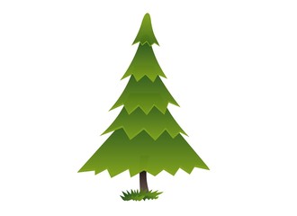 обыкновенная ель