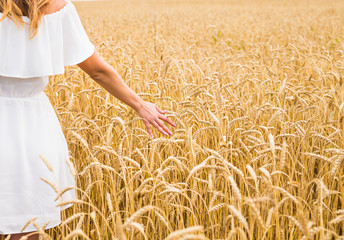 Close up of a woman's hand touching golden rye © satura_