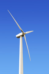 wind turbines in eolic farm , electric wind generators, renewable energy