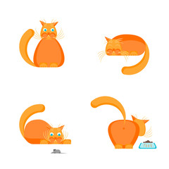 Cute Orange Cat Set. Vector