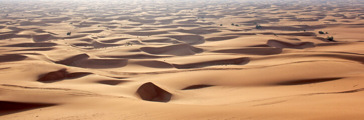 Fototapeta na wymiar Sand dunes in the desert.