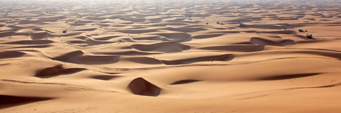 Sand dunes in the desert.
