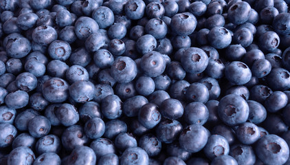 Blueberry Fruit Background
