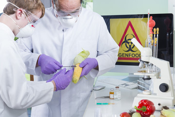 Gentechniker untersuchen Genfood Mais im Labor