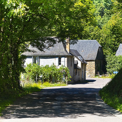 Small Village