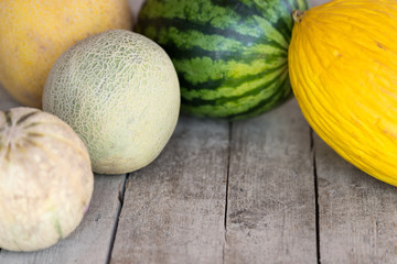 fünf verschiedene melonen