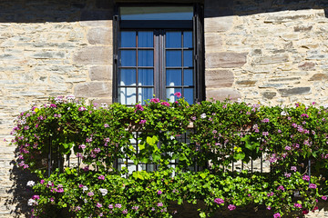 Fototapeta na wymiar Windows with Flowers
