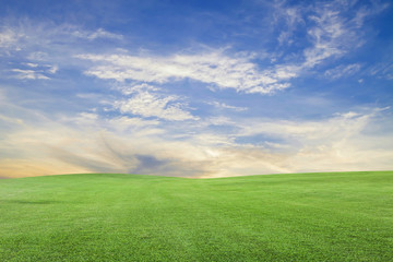 Fototapeta na wymiar green grass field and blue sky scenery background.
