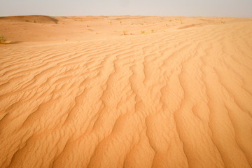 Arabian Desert Sand Dune