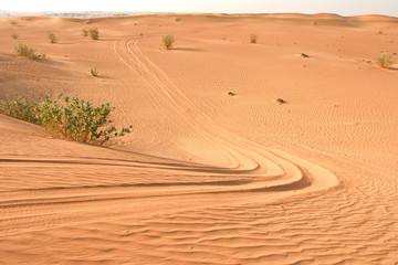 Naklejka premium Arabian Desert Sand Dune and Vehicle Tracks