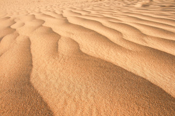 Arabian Desert Sand Dune