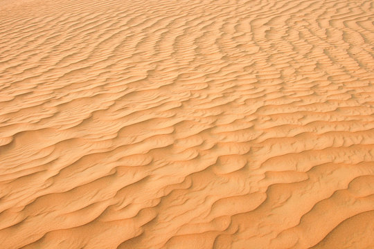 Arabian Desert Sand Dune