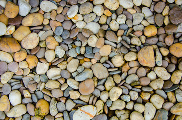 Color pebble stone in background