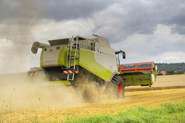 Mähdrescher bei der Ernte

