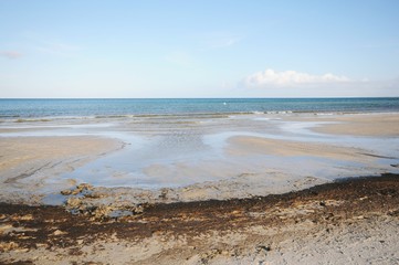walking through the Western Pomerania Lagoon Area National Park