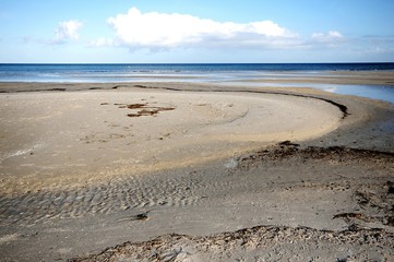 walking through the Western Pomerania Lagoon Area National Park