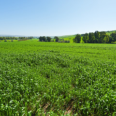 Jezreel Valley in Israel