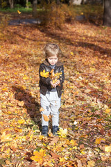 Small boy playing with yellow leaves in autumn park. Happy kid throwing autumn leaves and having fun in nature.