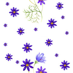Watercolor pattern of a cosmos flowers