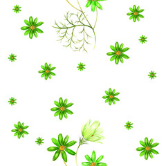 Naklejka premium Watercolor pattern of a cosmos flowers