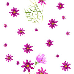 Fototapeta na wymiar Watercolor pattern of a cosmos flowers