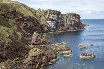 St Abbs Head, Northumberland