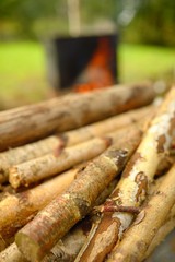 Firewood lies ready for a fire