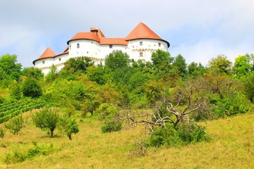 Fototapeta na wymiar Castle Veliki Tabor in Croatia