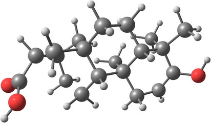 Steviol molecular structure isolated on white