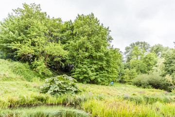 Fototapeta premium botanischer garten rostock