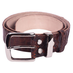Fashion snakeskin (python) leather belt isolated on a white background