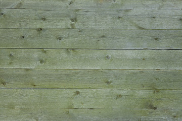wooden green background