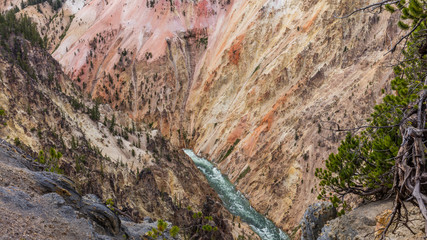 Fototapeta na wymiar Big river among the beautiful rocks. Amazing landscape. Rocky walls along the Grand Canyon of the Yellowstone. Point sublime on the Grand Canyon of the Yellowstone, Yellowstone National Park, Wyoming