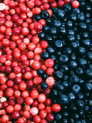 red-purple berry background blueberries and cranberries.