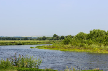 River on a summer day.