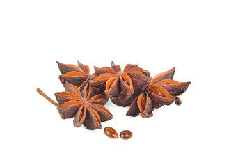 Star Anise on white background