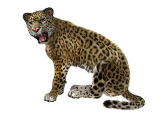 3D Rendering Big Cat Jaguar