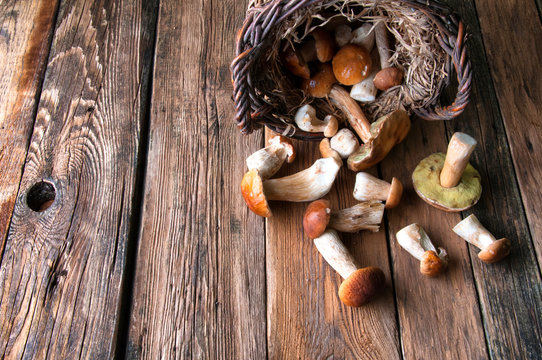 Boletus in wicker basket