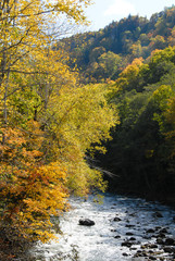 Fototapeta premium 北海道・秋の層雲峡