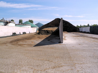 Biogasanlage mit Silage