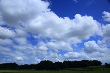 Obraz premium 入道雲( Thunderhead / Cumulonimbus ) / 空を覆い始めた入道雲を撮影しました。