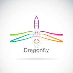 Vector of dragonfly on white background