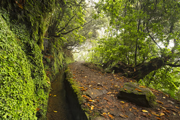 Footpath down the levada on Madeira island. Caldeirao Verde, Madeira, Portugal