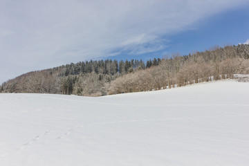 Einsame Winterlandschaft mit Schnee