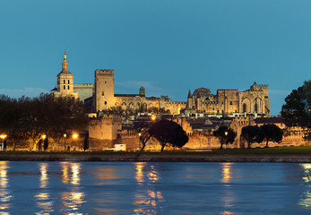 Riverside view of The Papal Palace at night. France