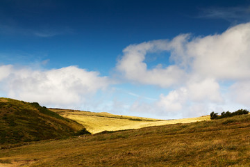 View of countryside from costal path near Polzeath